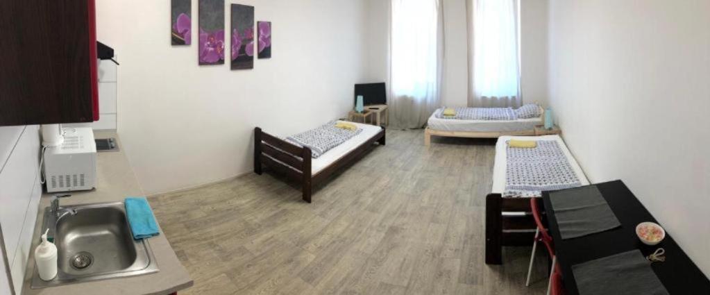 Apartments Near The Center With Privat Parking Brno Luaran gambar