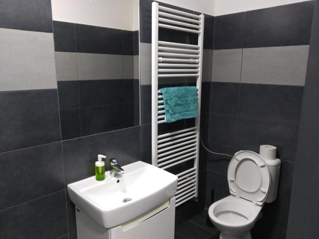 Apartments Near The Center With Privat Parking Brno Luaran gambar